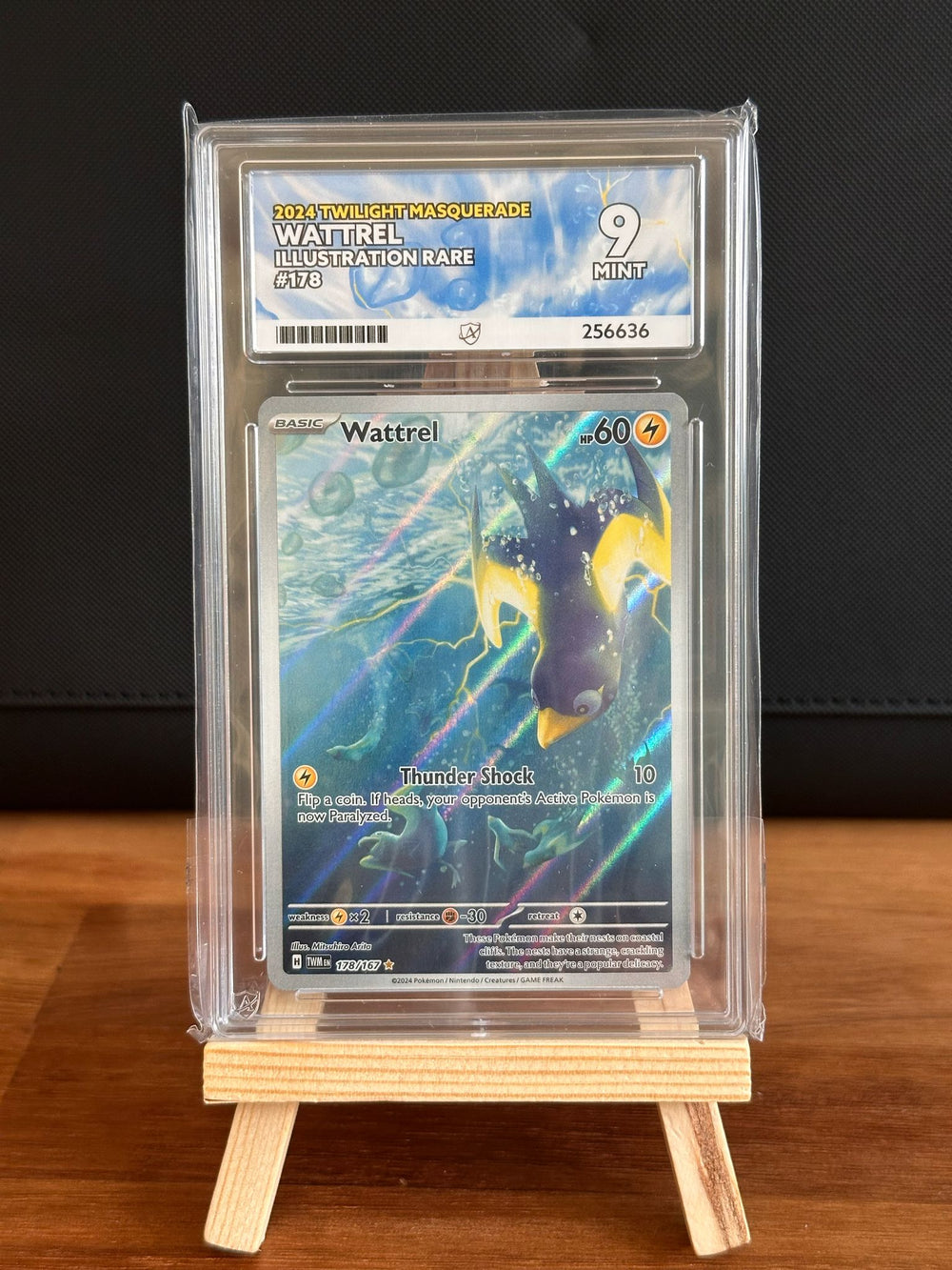Wattrel IR #178 ACE MINT 9 - Infinity TCG